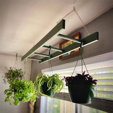 How to Hang Plant from Ceiling: A Complete Guide - Opple House