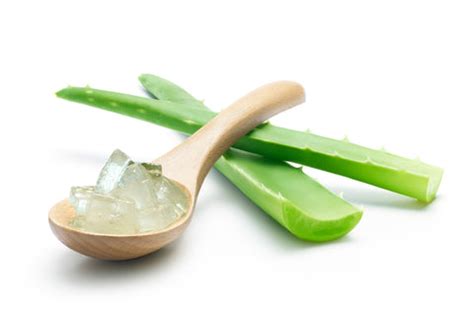 Aloe Vera Gel For Lips Care - Benefits & How to Use? – VedaOils