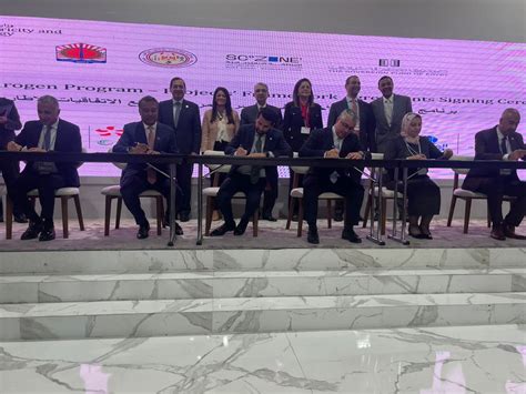 ReNew Power to build $8 billion green hydrogen plant in Egypt - pv ...