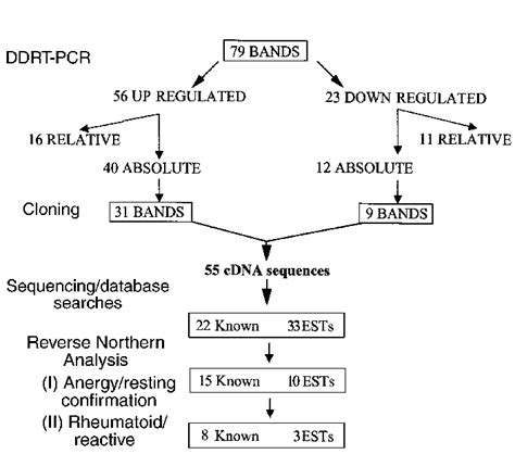 Image result for RPR Reverse Algorithm