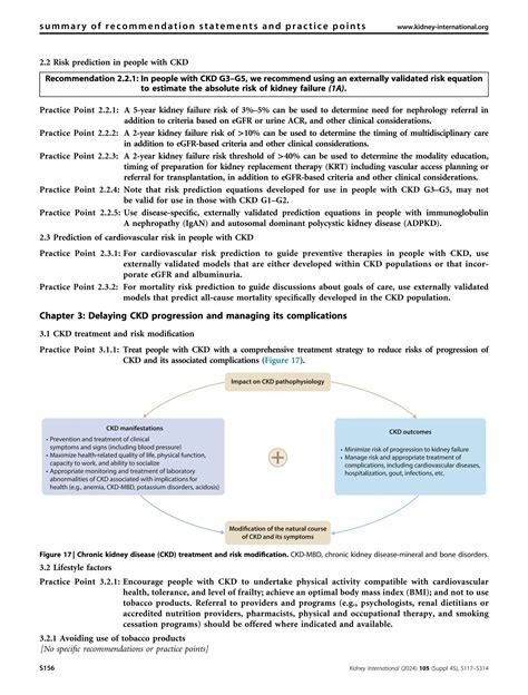 KDIGO-2024 guia - clínica, linea de la salud | PDF