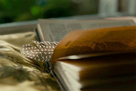 GIFs of Books - 100 Animated GIF-Pics | USAGIF.com