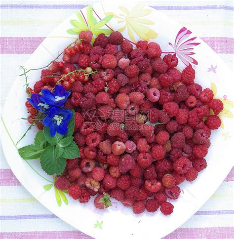 草莓草本食物浆果红色饮食维生素盘子乡村减肥产品高清图片下载-正版图片320705315-摄图网