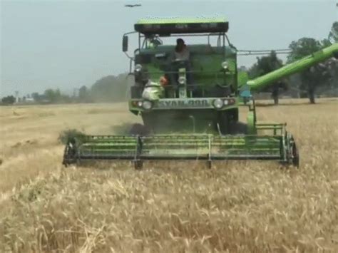 Could not farm due to shelling; Harvesting of crops after 22 years on ...