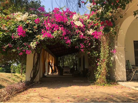 THE COUNTRY RETREAT FARMSTAY (Pali, Rajasthan) - Guesthouse Reviews ...