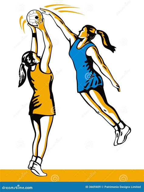 Netball Animation 的图像结果