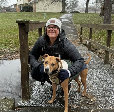 Orchard Lake Animal Hospital | Our Veterinary Staff