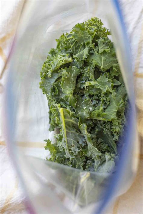 The Ultimate Guide to Freezing Kale: Preserving its Nutritional Value ...