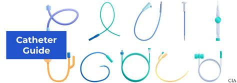 Image result for Int Array Pointer