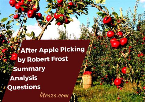 After Apple-Picking by Robert Frost – Summary Analysis Questions ...