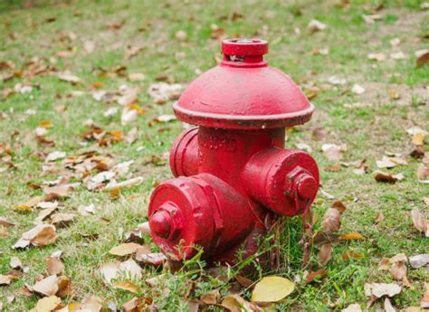 Yard Hydrant 的图像结果