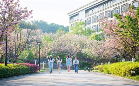 重庆外语外事学院一年学费多少钱？附各专业的收费标准（2023年参考）-高考100