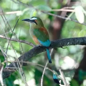 Image result for Java Design Paetterns