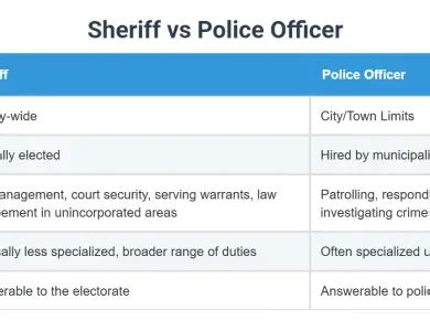Officer vs Executive