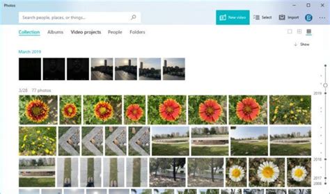 Image result for Windows Program to View Images
