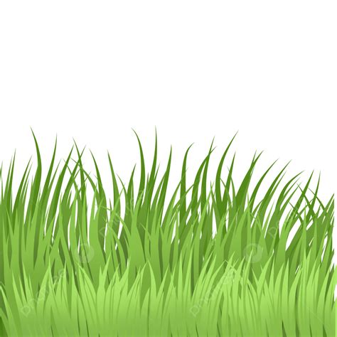 Cartoon Grass Png