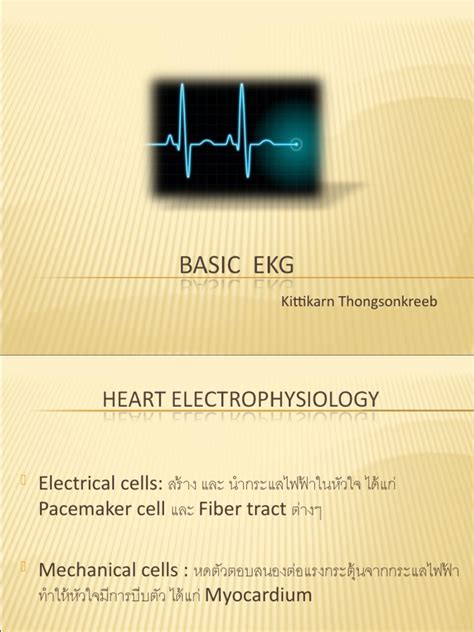 Basic EKG Class 的图像结果