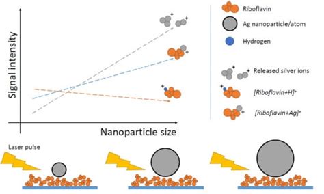 Effect of Ag Nanoparticle Size on Ion Formation in Nanoparticle ...