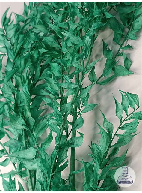 Home CAKE DECOR™ Green Color Natural Dried Ruscus Leaves For Cake ...
