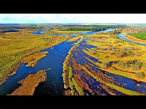 Река Неман - карта, описание, флора и фауна, туризм и рыбалка