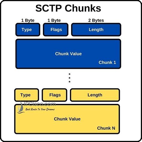 Image result for Sctp Protocol Tutorial