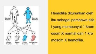 Image result for A Computer Vision Based Lane Detection Approach