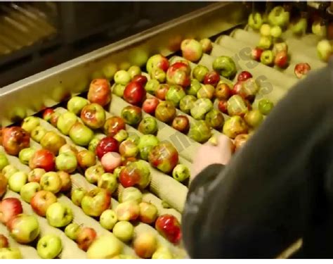 Food Processing, Dairy, Cleaning Equipments by SS Engineers