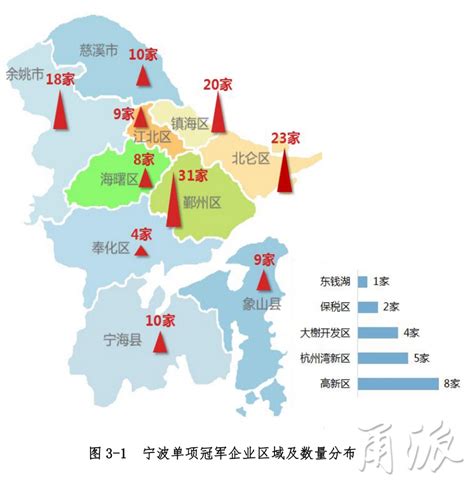 数字解读宁波民营经济“硬核力量”——2021宁波市上规模民营企业发展现状分析_调研