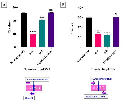 3′-UTR Sequence of Exosomal NANOGP8 DNA as an Extracellular Vesicle ...