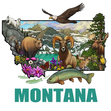 Montana Illustrated Nature Map - Etsy