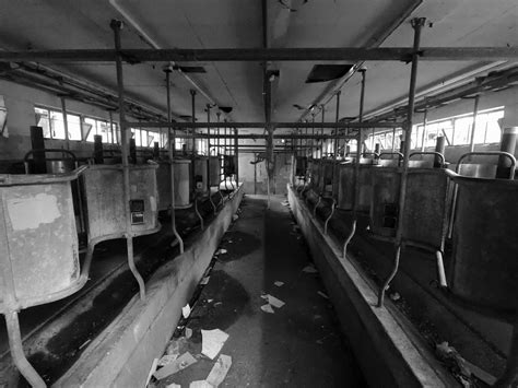 Milking Shed, Northern State Mental Hospital, Sedro-Woolley, WA ...