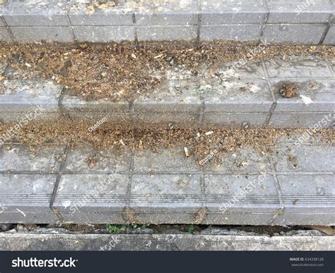 Dirty Stair Stock Photo 634338128 | Shutterstock