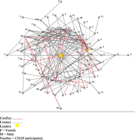 Build Contact of Network 的图像结果