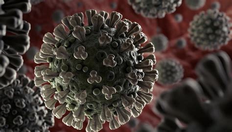 多国发现新冠病毒“突变点”，正在研发的疫苗还管用吗？|界面新闻 · 天下