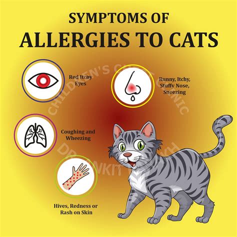 Animal allergy: causes, symptoms, treatment, and more | dog allergy symptoms | XAKY