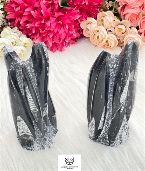 Orthoceras Fossil Freeform – Angelic Guidance Crystals