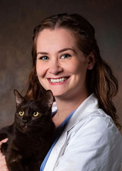 Home | Veterinarian in Decatur, GA | Dearborn Animal Hospital