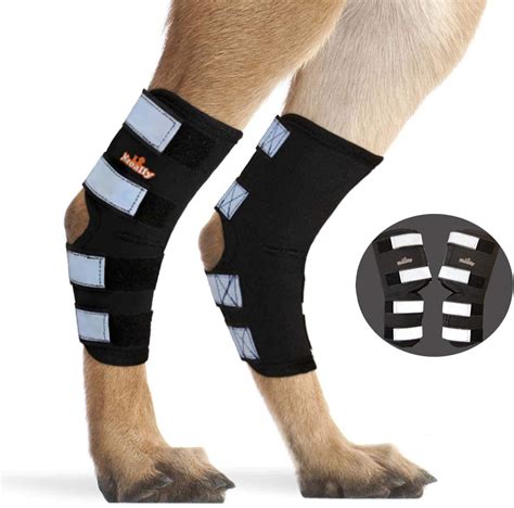 Neoallypair Dog Rear Leg Brace Canine Rear Hock Joint Support ...