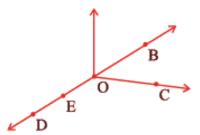 NCERT Solutions for Class 6 Maths Chapter 4 - Basic Geometrical Ideas