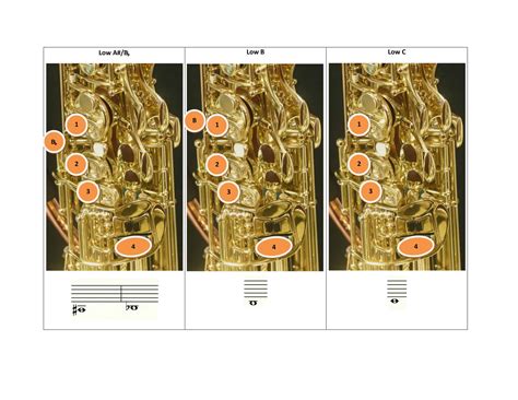 Tenor Saxophone Finger Chart For Beginners at Andrea Newton blog