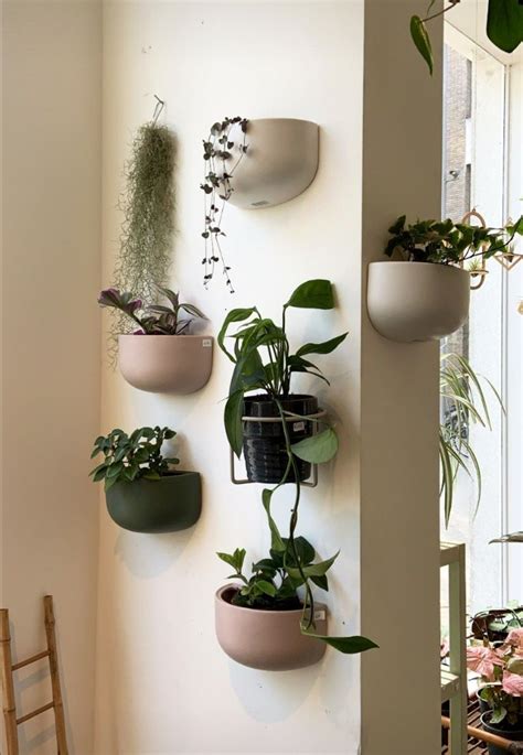 Stunning hanging plant pot designs to elevate your indoor garden – Artofit