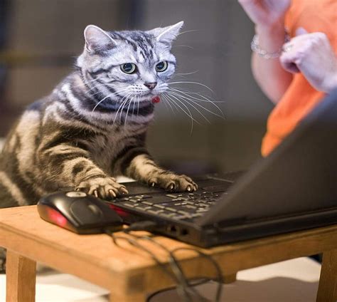Image result for Man Unix Command