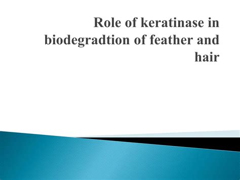 SOLUTION: Role of keratinase in biodegradtion of feather and hair ...