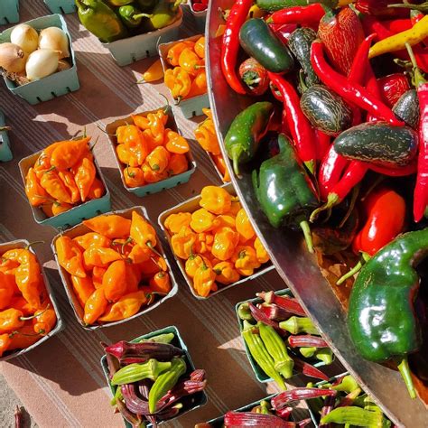 Asheville City Market | Downtown Farmers Market with Local Goods & SNAP ...