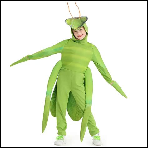 Praying Mantis Costume for Kids – PrayingMantisShop.com
