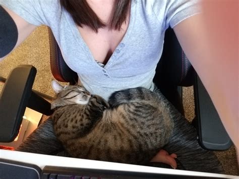 Mizkif's Hidden Address Revealed By Alinity? - Truth or Fiction