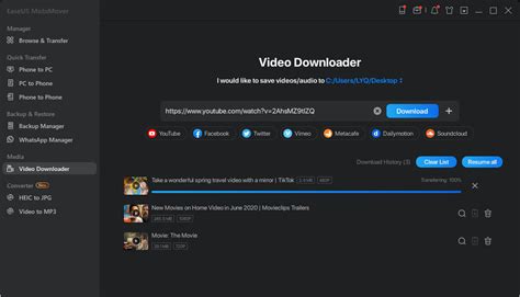 Copy URL Video Download 的图像结果