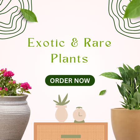 Bloom Plant