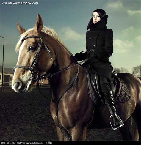 骑一匹马的妇女在森林里 库存图片. 图片 包括有 女性, 设备, 骑马, 室外, 本质, 人员, 车手, 马勒 - 62225769