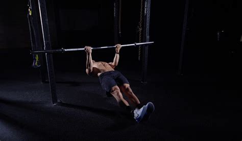 Image result for Inverted Row Muscles